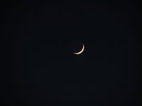 IMG_3120.JPG