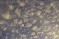 _MG_5831_Flugzeug.png