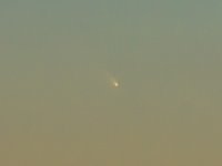 DSC01645-100%Crop.jpg
