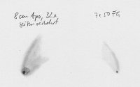 1303131800_2011L4(Panstarrs).jpg