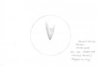 Komet C 2011 L4 Panstarrs 15.03.2013.jpg