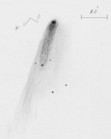 1301041935C!2011~L4~(Panstarrs)_Ninja_48k.jpg