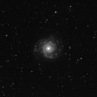 m74-kl.jpg