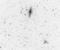 NGC7331_g_inv_small.jpg