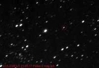 23062020UT215517Pallas2_2.jpg
