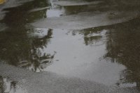 IMG_0003.JPG