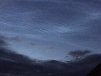 1CE41805-442C-44BB-94D0-4D3570B6EB18.jpeg