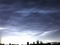 IMG_1864.jpg