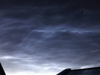 IMG_1865.jpg