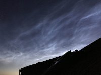 IMG_1868.jpg