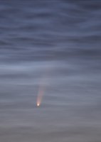 Komet_C2020_F3_Neowise_08_07_2020_früh.jpg