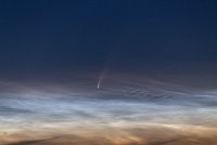IMG_9686-2.jpg