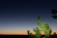 DSC03274.jpg