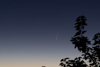 DSC03259.jpg