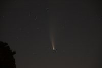 _MG_0893.JPG