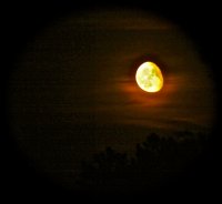 IMG_4550.JPG