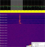 SIGNAL_20200806_144519.jpg