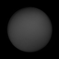 2020-08-12-1242_9-U-L-Ven_pipp_lapl4_ap325.jpg 2020-08-12-1242_9-U-L-Ven_pipp_lapl4_ap325.jpg
