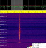 SIGNAL_20200808_193056.jpg
