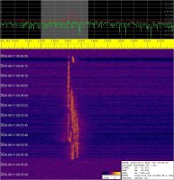 SIGNAL_20200811_093623.jpg