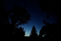 IMG_5589.JPG