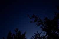 IMG_5592.JPG