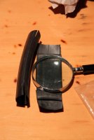 Augenmuscheln_Schwalbe_03.jpg Augenmuscheln_Schwalbe_03.jpg
