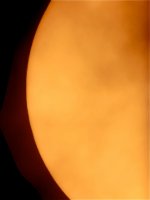 512EFF39-4C7C-4C1F-86D6-D8FD1C5495E1.jpeg