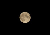 2,9,2020-Vollmond_2.jpg
