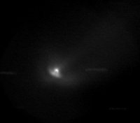 Lovejoy Kopf Bereich 12_12_2013 Bild_2 Ausschnitt.jpg