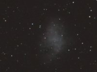 IMG_7338b.JPG