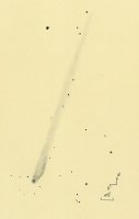 1312300500C!2013~R1~(Lovejoy)_Bertha_15.jpg