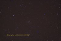IMG_6191.jpg