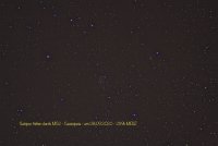 IMG_6181.jpg