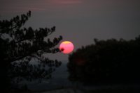 _MG_2565.JPG