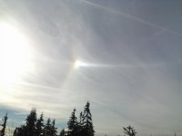 WP_20161104_007.jpg