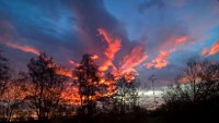 WP_20191115_07_05_43_Pro.jpg