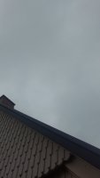 IMG_20200929_140858017.jpg