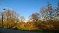 WP_20191114_15_10_30_Pro.jpg