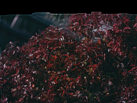 SvBonySv205-Test01-AstroDmx.png