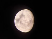 20201005_214428.jpg