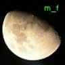 martin_fuerst