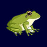 Wetterfrosch