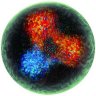 MyQuarks