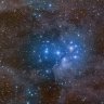 deneb237