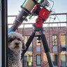 AstroPepe