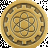 yogi61