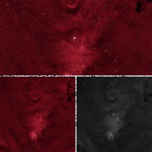 NGC 2264 (Konusnebel) im Einhorn