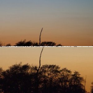 Komet C/2011 L4 (PANSTARRS)
