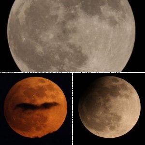 Mondansichten vor-während-nach der MiniMofi 25.4.